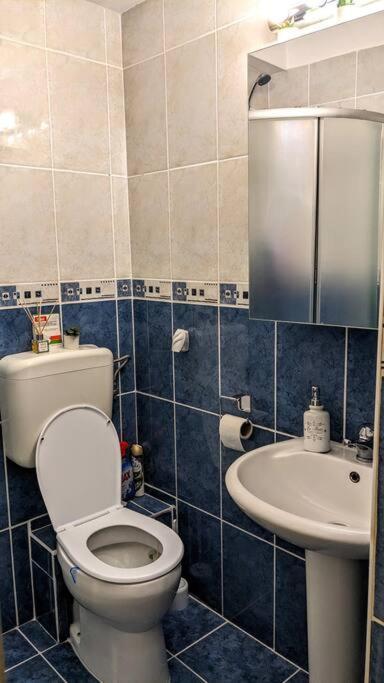 Cosy One Bedroom Flat With Free Parking & Wifi Cluj-Napoca Buitenkant foto